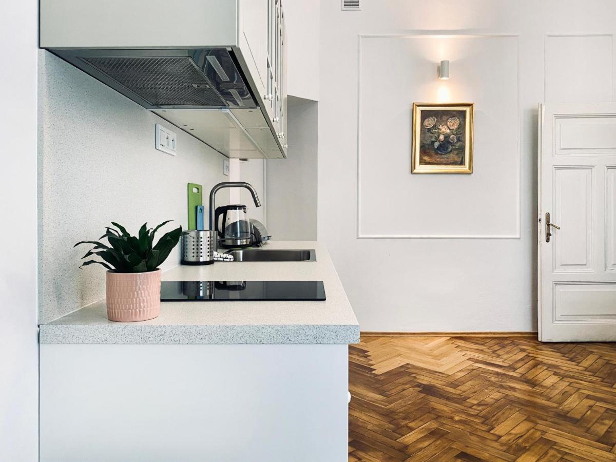 Beautiful Apartment With Two Rooms, Cracow Old Town Krakow Luaran gambar